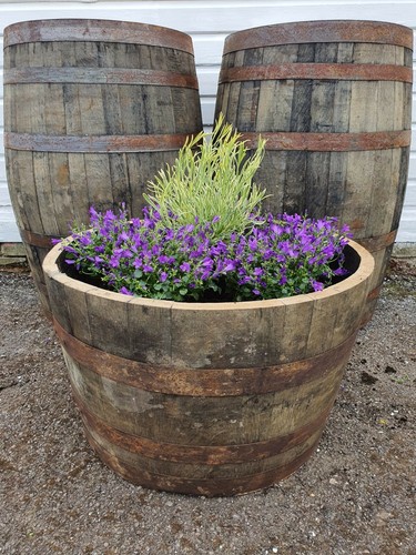 Large oak half whisky - large,