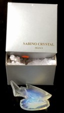 sabino glass fish With