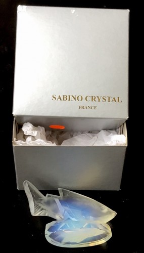 Sabino glass fish with - sabino,