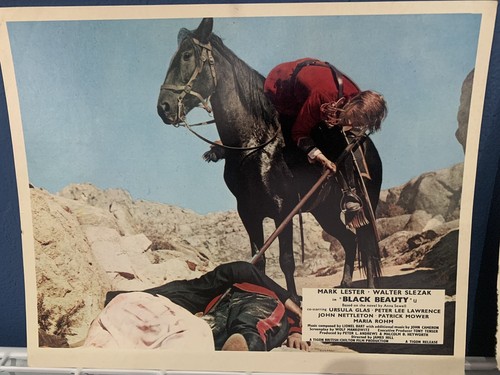 Black beauty 1971 original - black,