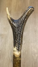 Stag Horn Thumb Walking Stick