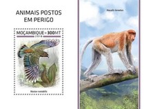 Endangered Animals KEA Parrot Birds/Bird MNH Stamp Sheet #1846 (2018 Mozambique)