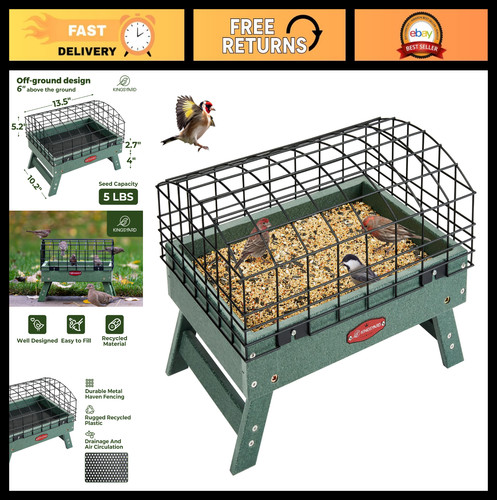 Squirrel proof caged bird - squirrel,