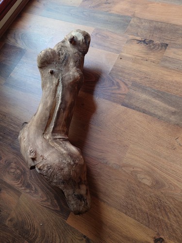 Large wood for reptiles lizard - wood,