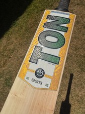 SS TON Short Handle Cricket Bat 2-10