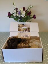 Shetland Raw Fleece -