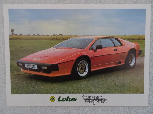 Lotus esprit turbo - lotus,