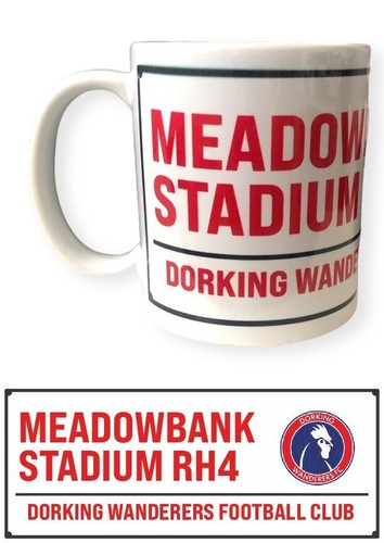 Dorking wanderers meadowbank - dorking,