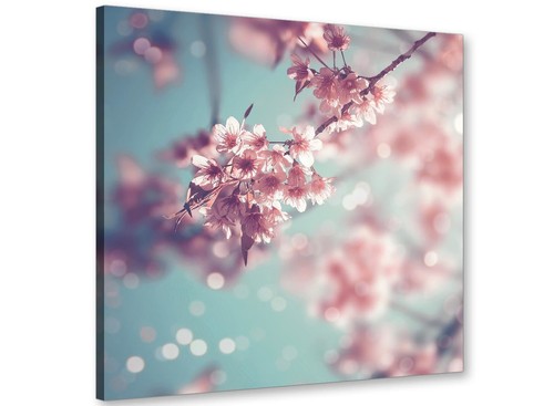 Duck egg blue pink - duck,