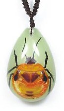 Real Insect Necklace Pendants
