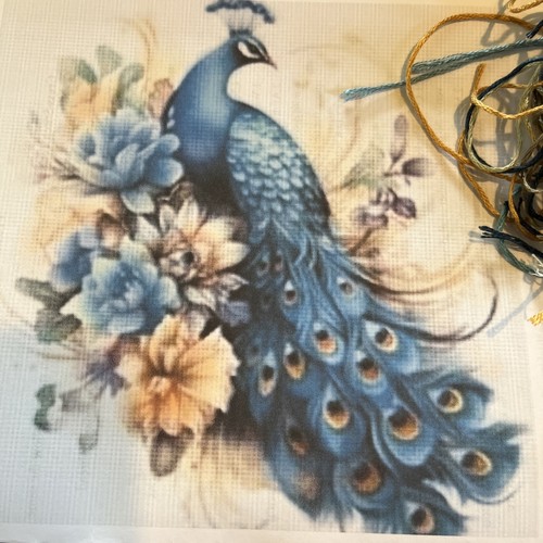 Peacock count complete - peacock,