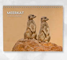 Meerkat Calendar 2026: Monthly