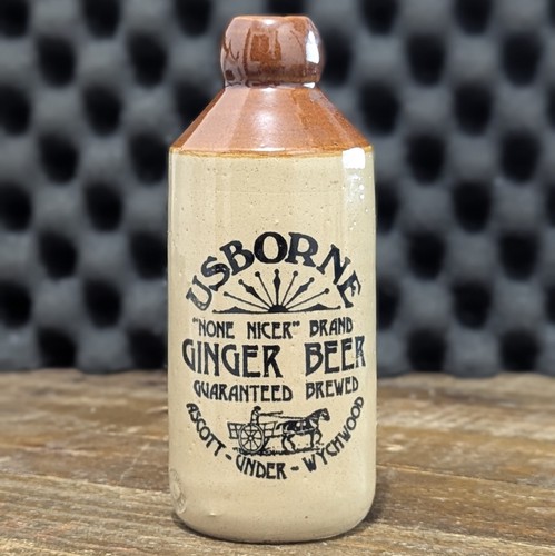 Usborne ginger beer - ginger,