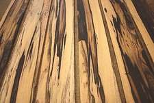 PALE MOON / BLACK AND WHITE