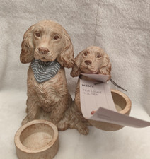 Next Cooper the Spaniel &