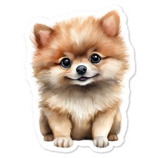 Pomeranian Puppy Vinyl