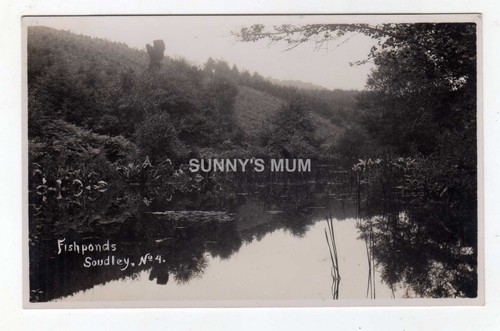 Gloucestershire forest of - gloucestershire,,