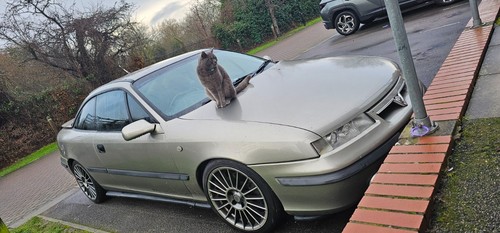Vauxhall calibra v6 - ;, v6;