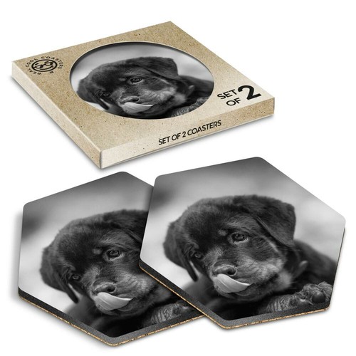 Hexagon coasters bw - x,