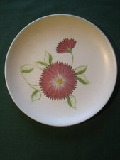 Radford pottery wall - pottery,