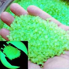 Up To 5000 Luminous Glow In The Dark Pebbles Stones Garden Walkway Tank Aquarium