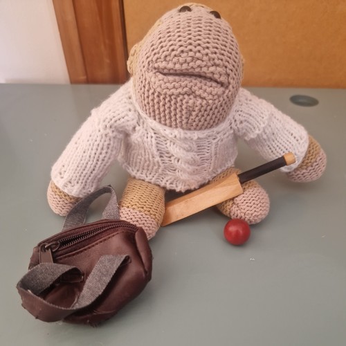 Tips monkey cricket outfit - pg,