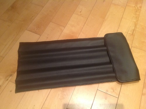 Pedal steel guitar - guitar, bags