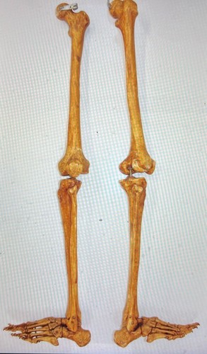 Vintage pair medical - vintage, of
