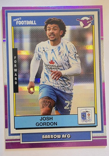 Panini premium football efl - football,
