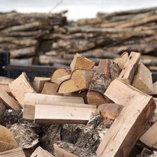 Snowdon Timber Kiln Dried