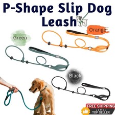 P-Shape Slip Lead Dog Leash Collar 2-in-1 Nylon Rope for Training & Walking Use.