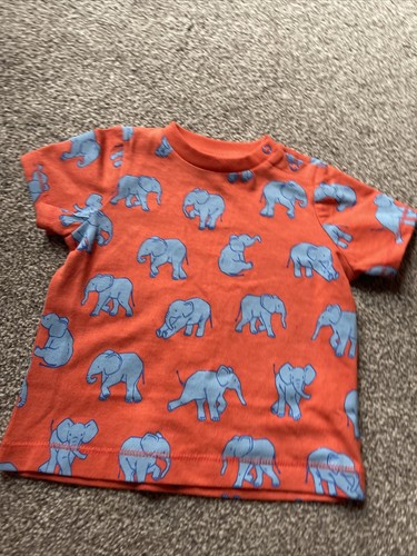Hatley baby boys orange blue - hatley,