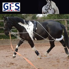 GENUINE GFS LUNGE TRAINING