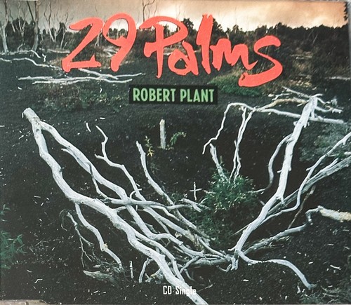 Robert plant palms - robert,