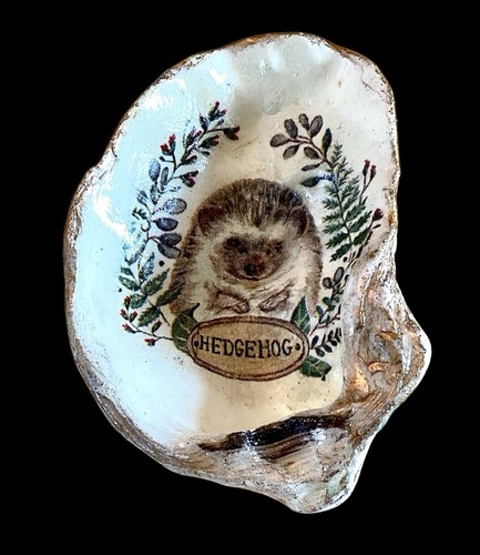 Oyster shell soap dish - oyster,
