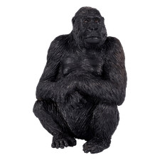 Mojo GORILLA FEMALE wild