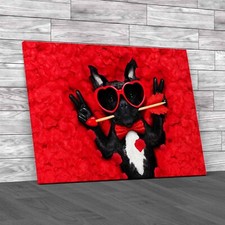 Adorable French Bulldog In Bed