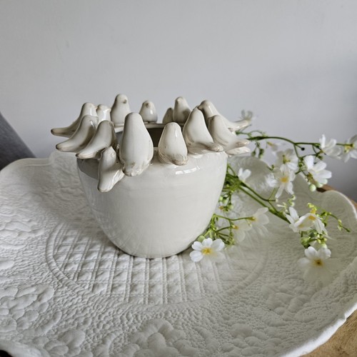 White ceramic plant pot - ceramic,