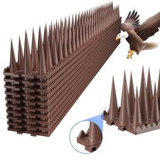 Bird spikes for pigeon - bird,