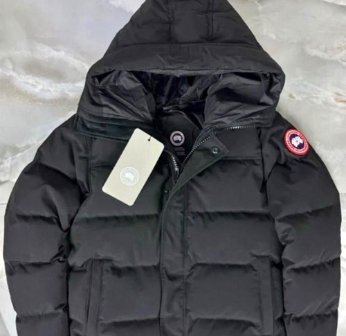 Canada goose men black - canada,
