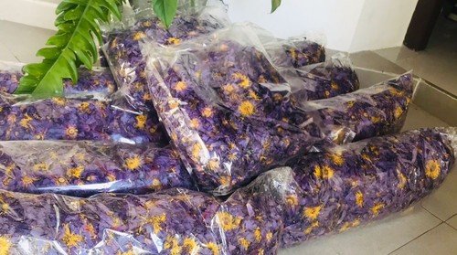 Blue lotus whole - whole, or