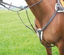 Shires Avignon Leather 5 Point