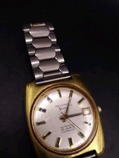 Vintage Rare Delvina Geneve