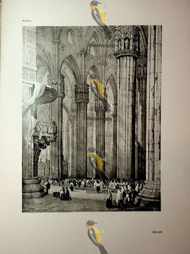 Milan italy samuel prout - samuel,