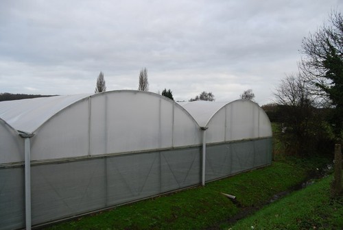 Photo 6x4 polytunnels - photo,