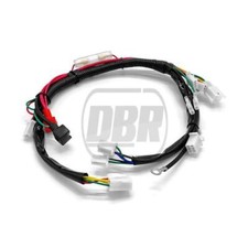 Wiring Loom Off Road Electric