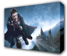 HARRY POTTER BROOMSTICK