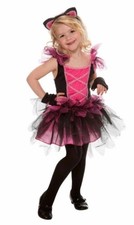 New Adorable Sweetie Cat