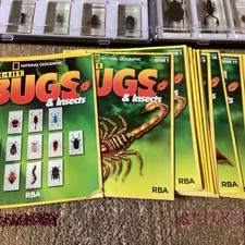 Real Life Bugs and Insects