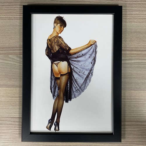 Hajime sorayama framed erotic - hajime,